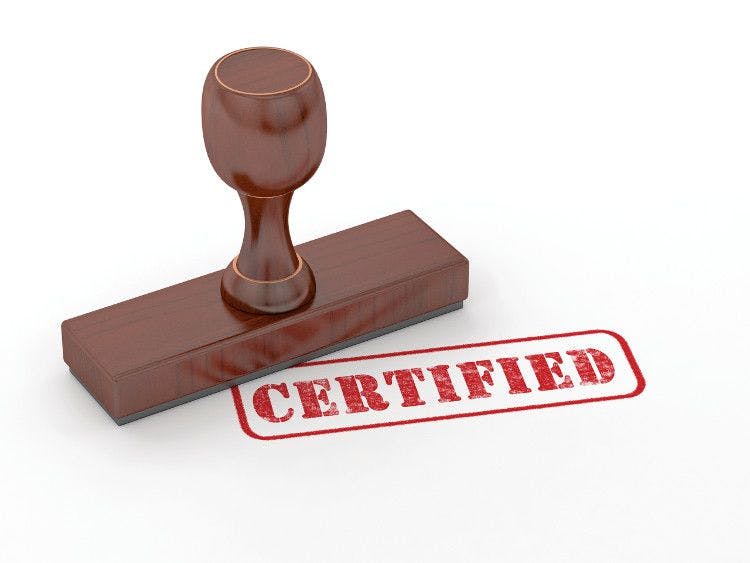NSF Shanghai GMP certification now a requirement for Chinese Manufacturers 