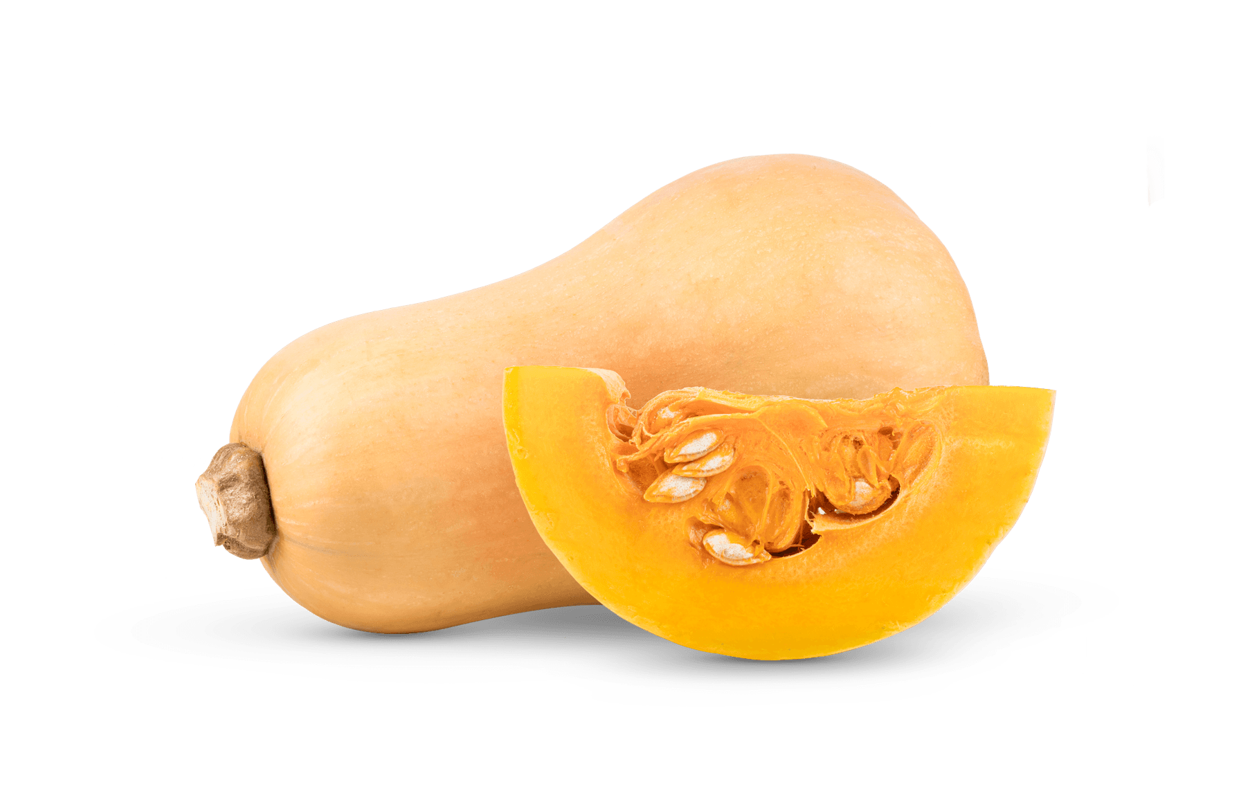 butternut squash