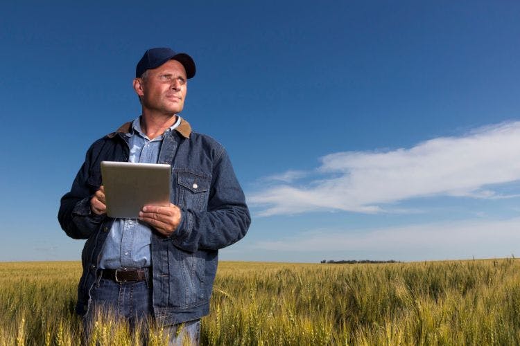 farmer in field with tablet
