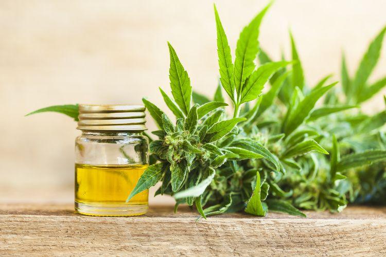 FDA, FTC send joint warning letter to CBD firm making infant and child autism and ADHD disease claims, among others