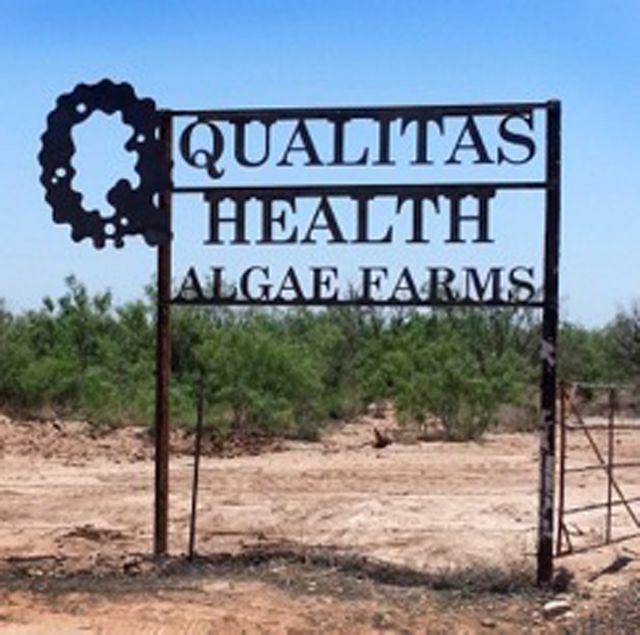 Texas-Based Omega-3 Algae Grower Predicts Commercial-Scale Production by End of Year 