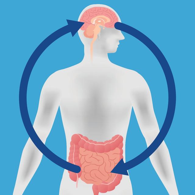 illustration of gut-brain axis