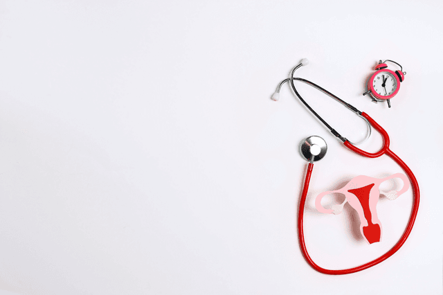 stethoscope, model of uterus and an alarm clock