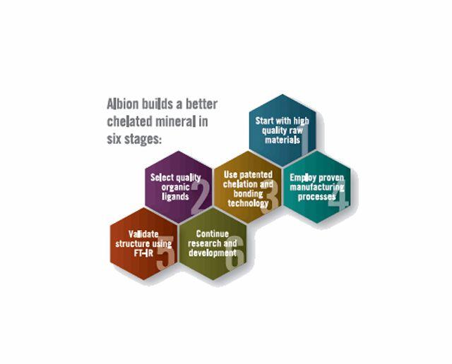 SupplySide West Preview: Chelated Mineral Nutrition