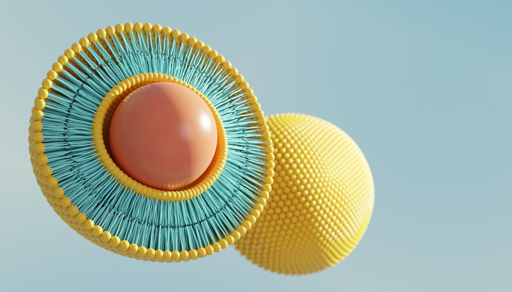 Liposome illustration