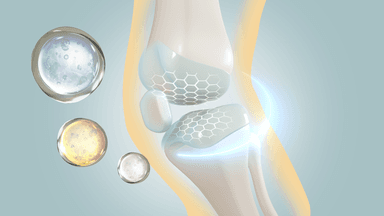 illustration of the inside of a knee joint