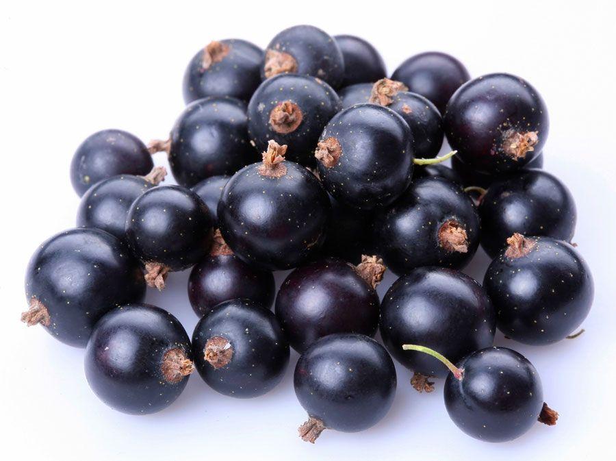 Black Currant Anthocyanins for Eye Pressure?