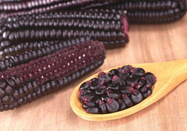 purple corn