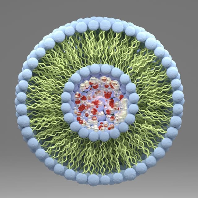 illustration of liposome