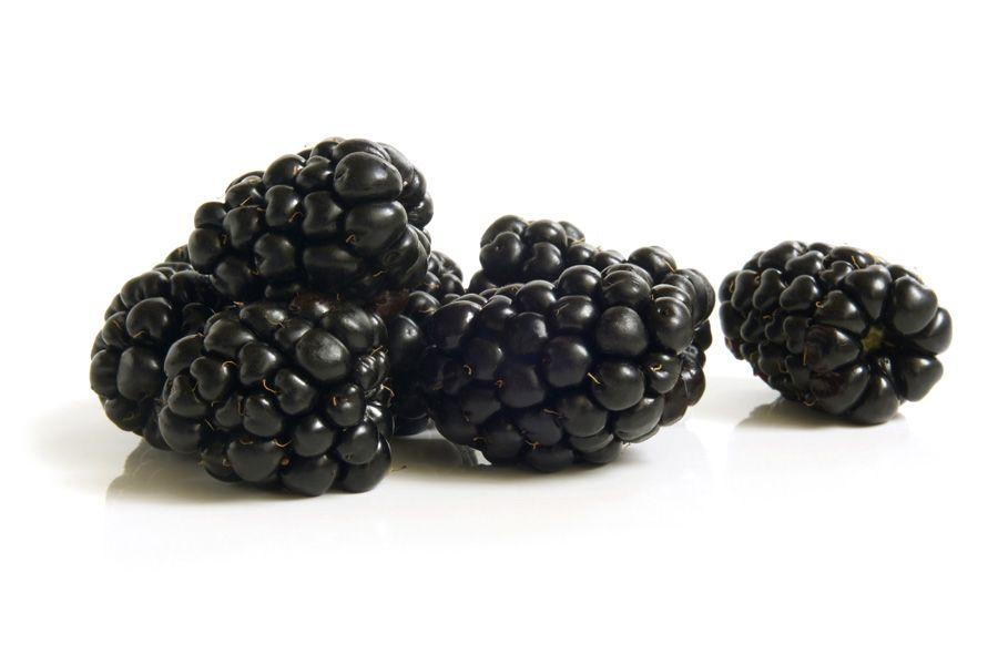 Blackberry Juice Increases Probiotics in Milk